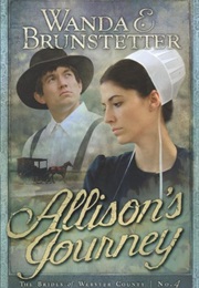 Allison's Journey (Wanda E. Brunstetter)