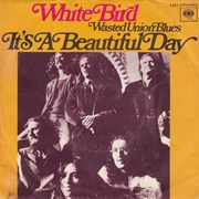 It's a Beautiful Day - White Bird