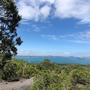 Rangitoto Island Track and Summit Walk - Easy (4 Hours)