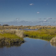 Kern National Wildlife Refuge