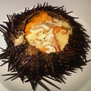 Sea Urchin in the Shell