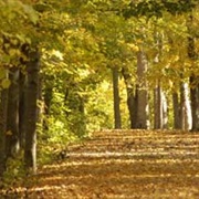 Independence Dam State Park, Ohio