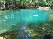 Manatee Springs (Florida)
