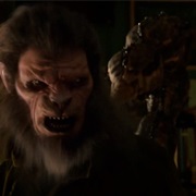 Manticore - Half Lion/Half Scorpion Wesen
