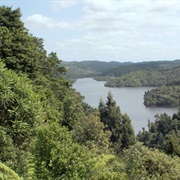 Clevedon Scenic Reserve