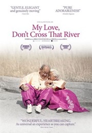 My Love, Don&#39;T Cross That River (2016)