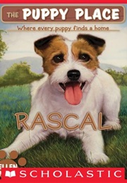 Puppy Place: Rascal (Ellen Miles)