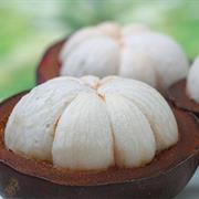 Mangosteen
