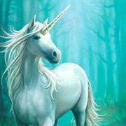 Unicorn Land