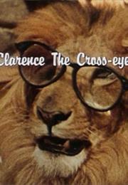Clarence the Cross Eyed Lion - Clarence