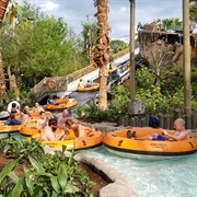Typhoon Lagoon Miss Adventure Falls