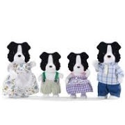 Border Collie Family