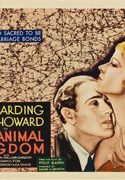 The Animal Kingdom (Edward H. Griffith)