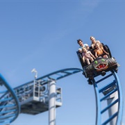 Cobra (Paultons Park, England)
