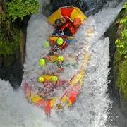Raft the Okere Falls