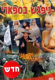 Nipagesh Basafari (1989)