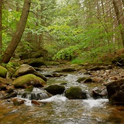 Moose Brook State Park, New Hampshire