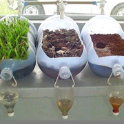 How Clean Is the Water?