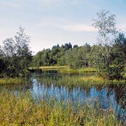 Polesie National Park, Poland