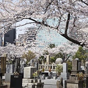 Aoyama Cemetery, Tokyo
