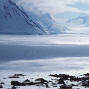 French Southern Territories