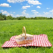 Picnics