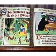 Snow White Book in Frozen Meet and Greet