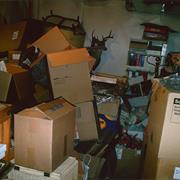 Deadly Basements of Oregon