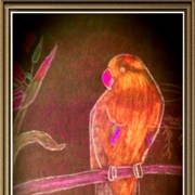 Tropical Bird Angelina Jensen