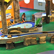 Children's Museum