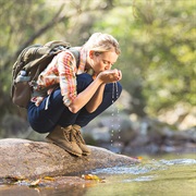 Drink Water From a Stream
