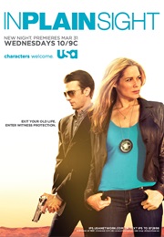 In Plain Sight (2008)