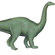 Riojasaurus