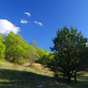 Lyndon B. Johnson National Grassland
