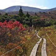 Tohoku Nature Trail, Japan