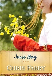 June Bug (Chris Fabry)