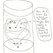 Brain in a Vat Thought Experiment