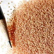 Love-Lies-Bleeding (Amaranthus Caudatus)