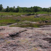 Big Stone National Wildlife Refuge