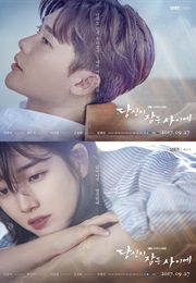 While You Were Sleeping (Korean Drama) (2017)