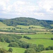 Lewesdon Hill, Dorset