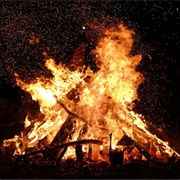 Go to My Summer Camp Until I'm Too Old To