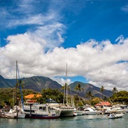 Lahaina, Maui, HI