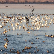 Lake Andes National Wildlife Refuge