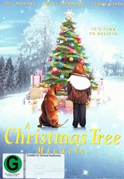 A Christmas Tree Miracle