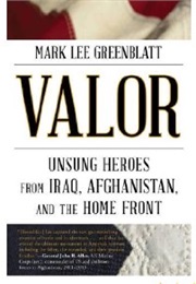 Valor: Unsung Heroes (Mark Lee Greenblatt)