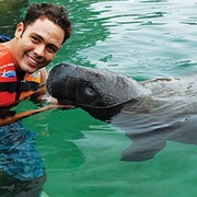 Swim With Manatees, Cozumel