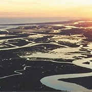 ACE Basin, South Carolina