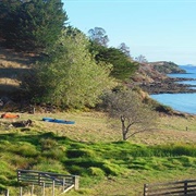 Waitawa Bay Campground
