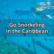 Go Snorkeling in the Caribbean